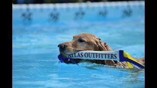 Courteous Canine - Distance Splash 20'2", Master Division