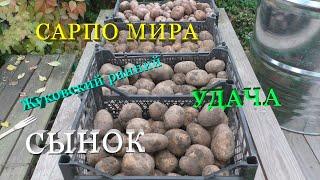 Картофель в глине. От "Сарпо Мира" до "Сынка". Кто победит "Удачу"?