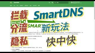 SmartDNS 从入门到精通教程，快中更快的DNS服务，防泄露、广告拦截、自动分流、隐私保护，中间居然还翻车了……