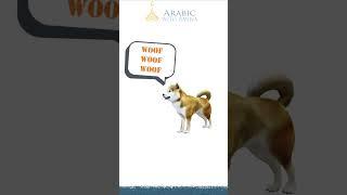 How do dogs bark in Arabic #arabiclessons #learnarabic #arabic #arabicvocabulary #languagelearning