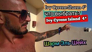 Египет Какие недостатки? Ivy Cyrene Island Resort 4* Выводы об двух отелей Ivy Cyrene Sharm 4*