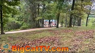 LIVE tour at Turpentine Creek Wildlife Refuge,  Eureka Springs, Arkansas w/ #CaroleBaskin 04 29 2023