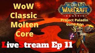 Wow Classic Molten Core | Full Run | Roly The Holy Paladin | Project Paladin Guild MC Run