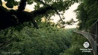 Okatse Canyon Georgia