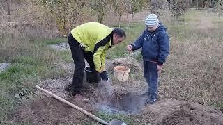 Посадка дерева в проблемному місці.