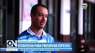 La Rana Chiva + Isabella Cortes Lara on Oriente Notícias Canal TRO Vivo
