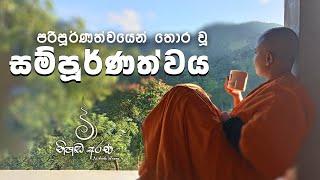 පරිපූර්ණත්වයෙන් තොර වූ සම්පූර්ණත්වය - Ven Aluthgamgoda Gnanaweera Thero | නිහඬ අරණ