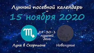 [15 ноября 2020] Лунный посевной календарь огородника-садовода | Флористикс Инфо