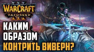 КАКИМ ОБРАЗОМ КОНТРИТЬ ВИВЕРН: Dise (Ne) vs Yange (Orc) Warcraft 3 Reforged