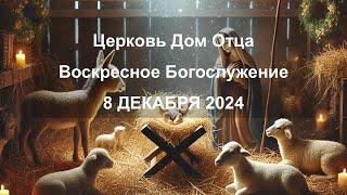 "Какого поклонения достоин рожденный Царь?" - Анатолий Н  -  22 ДЕКАБРЯ 2024