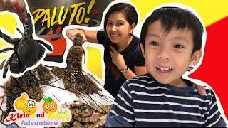 Paluto | Dubai Waterfront | Best Seafood Restaurant in Dubai | Family Video