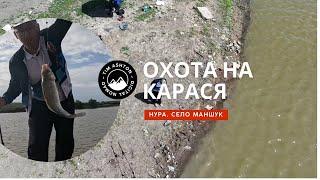 НУРА. СЕЛО МАНШУК. ОХОТА НА КАРАСЯ 2024