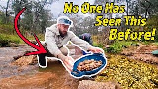 The Best Metal Detector for GOLD is NOT What You Think!