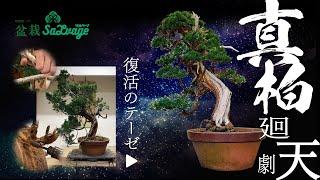 [Bonsai Salvage]episode8 English Subtitles 真柏juniper 廻天劇 魔改造 Japanese bonsai boy 改作と復活のテーゼ