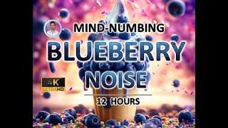 Mind-numbing Blueberry Noise | 12 Hours | BLACK SCREEN | Study, Sleep, Tinnitus Relief and Focus