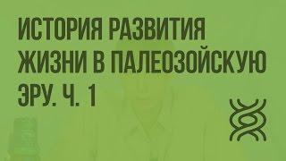 История развития жизни в палеозойскую эру. Ч. 1. Видеоурок по биологии 11 класс