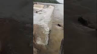 Sanigaram cheruvu Full gaa water vasunayeee