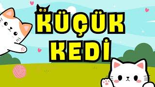 Küçük Kedi - Çocuk Şarkıları