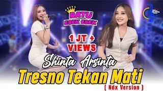 Shinta Arsinta - Tresno Tekan Mati Ndx Version (Official Music Video ) |Gedene Cintaku Luar Biasa