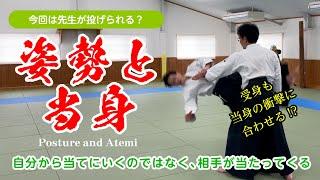 身体のフレームを正す「姿勢と当身」#合気道 #aikido