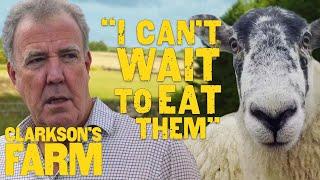 Jeremy Clarkson's Love/Hate Relationship With His Sheep | Clarkson's Farm