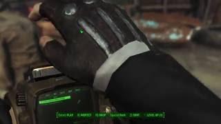 WIP preview: Visible Companion Affinity v4.0 - Fallout 4 mod: in-game sorting mod compatibility