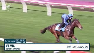 The Valley Track Gallops - Tuesday 16 August