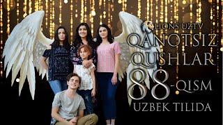 QANOTSIZ QUSHLAR 88 QISM TURK SERIALI UZBEK TILIDA | КАНОТСИЗ КУШЛАР 88 КИСМ УЗБЕК ТИЛИДА