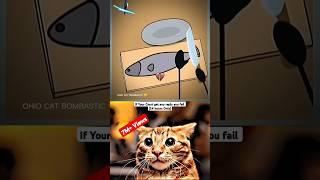 HIS EXPERIENCE... #fyp #trending |4K SHORTS | OHIO CAT BOMBASTIC