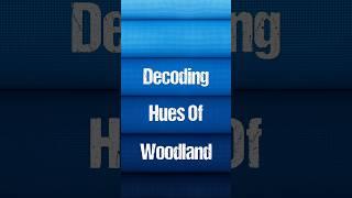 From Light Blue to Dark Navy, every shade of Woodland is inspired by open skies and deep waters.
