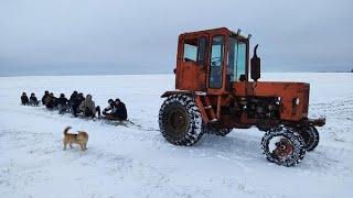 Будова замороженаТрактор не потягнув 10 санокКатаю дітвору на санках МАЛДАВАН ЗВІР.