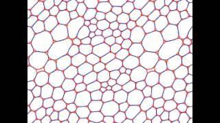 simple shear of a polydisperse 2D foam with liquid fraction of 3%