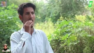 Buner vines ahmad ali and hamad sweet house