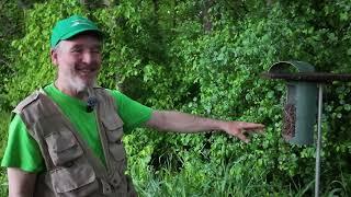 Bluebird Monitoring with DuPage Forest Preserve Volunteer David Yeager (Part 2/4)
