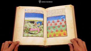 LA MIRABILE VISIONE - Browsing Facsimile Editions (4K / UHD)