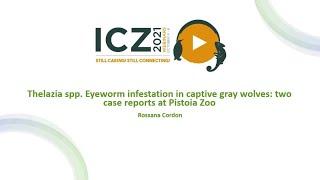 Thelazia spp. Eyeworm infestation in captive gray wolves: two case reports at Pistoia Zoo