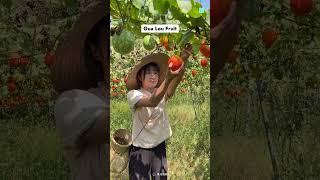 Eating China's Weirdest Fruit 