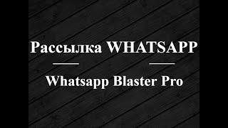 Обзор софта для рассылок Whatsapp Blaster Pro