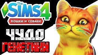 The Sims 4 Challenge | Чудо генетики | Кошка