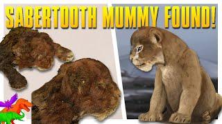 Frozen Saber-Toothed Cat Mummy Found In Siberia!