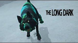 УБИЛИ ВОЛКА! - The Long Dark - #2х27