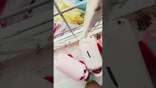 geyrufufu