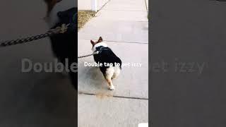 double tap #izzy