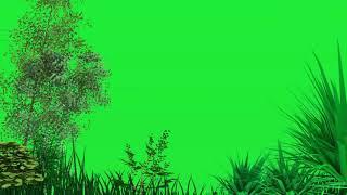 green screen trees blowing in the wind