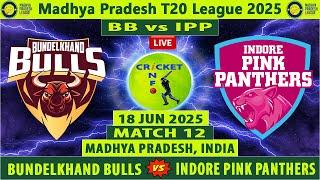 Bundelkhand Bulls vs Indore Pink Panthers | BB vs IPP | Madhya Pradesh T20 League 2025 | IPP vs BB