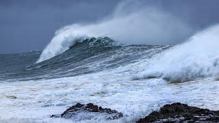 Queensland and northern NSW bracing for Cyclone Alfred's arrival on Friday