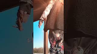 901-4baby “Frozen Solid” Offical Video Out Now ️