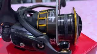 Daiwa BG 2500