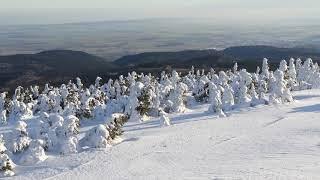 Am Valentinstag auf dem Brocken