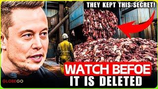 SECRETS SO HORRIFYING of U.S Foods You Wish You’d Never Eaten If Knew How They Are Made! Documentary